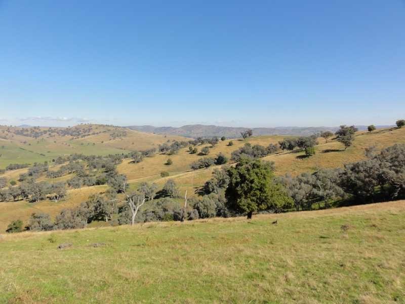 Lot/117 Kangaroo Mount Road, Darbalara NSW 2722