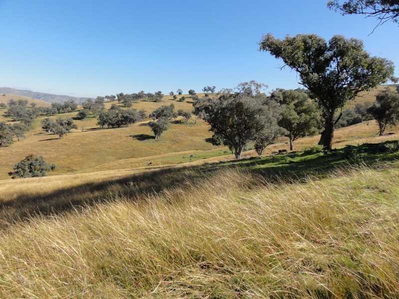 Lot/117 Kangaroo Mount Road, Darbalara NSW 2722