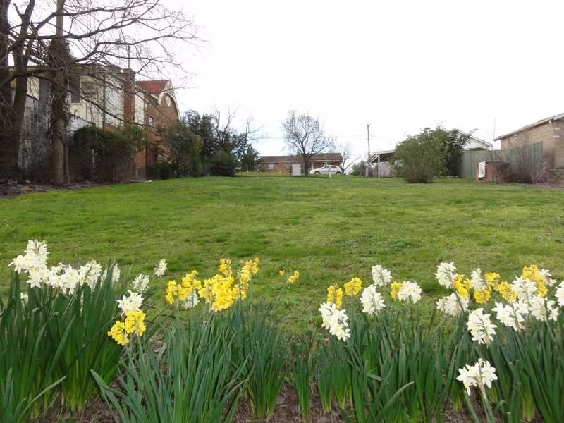 46 Punch Street, Gundagai NSW 2722