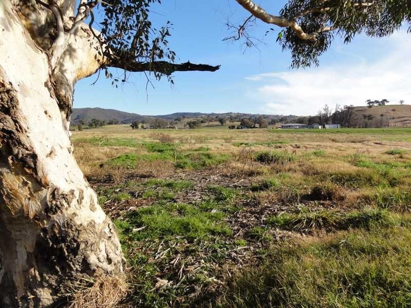 Lot 3 Adelong Road, Tumblong NSW 2729