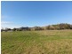 Lot 6 Adelong Road, Tumblong NSW 2729