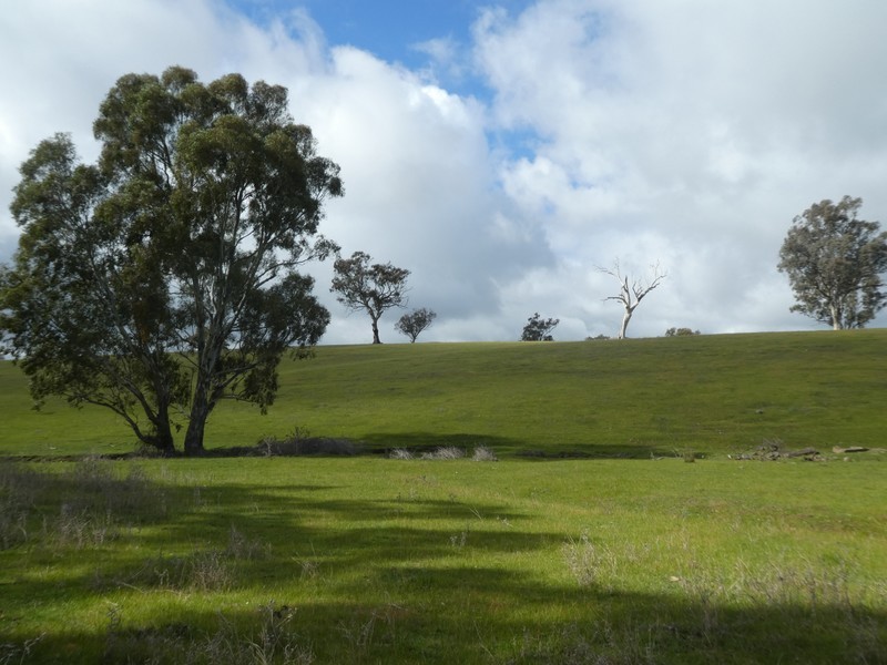 Lot 7 Lucernedale Road, Tumblong NSW 2729
