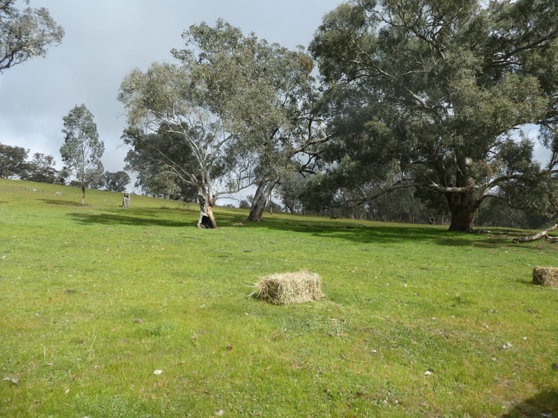 Lot 7 Lucernedale Road, Tumblong NSW 2729