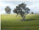 Lot 7 Lucernedale Road, Tumblong NSW 2729