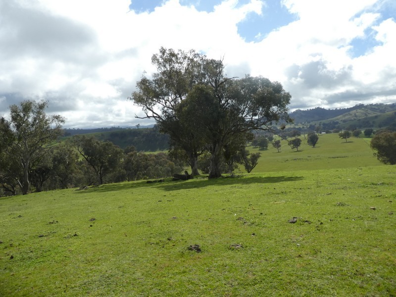 Lot 7 Lucernedale Road, Tumblong NSW 2729