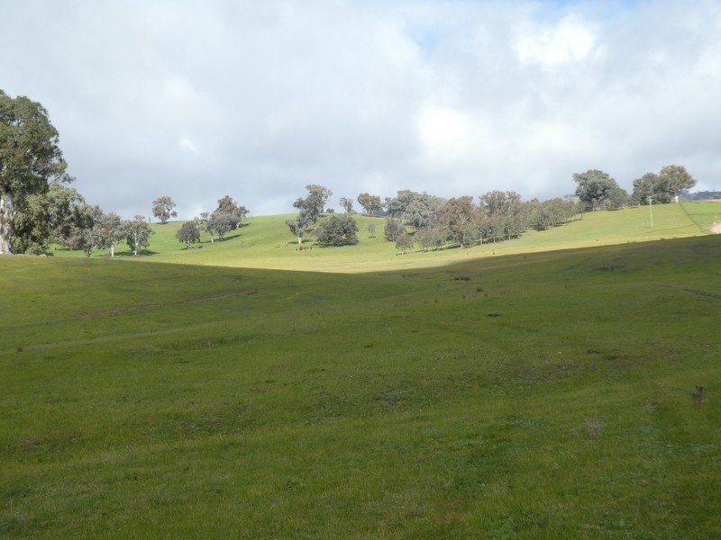 Lot 7 Lucernedale Road, Tumblong NSW 2729