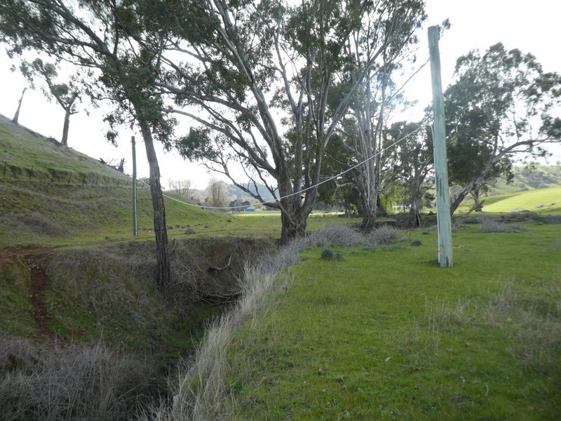 Lot 7 Lucernedale Road, Tumblong NSW 2729