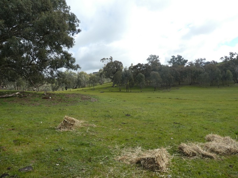Lot 7 Lucernedale Road, Tumblong NSW 2729