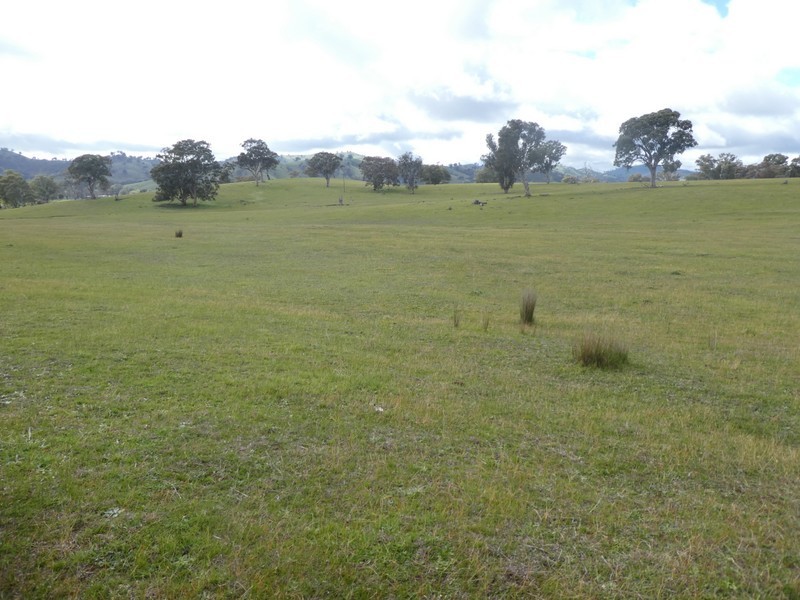 Lot 7 Lucernedale Road, Tumblong NSW 2729
