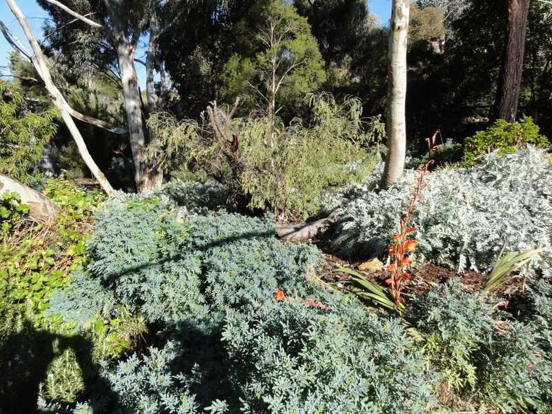 30 Francis Avenue, Gundagai NSW 2722