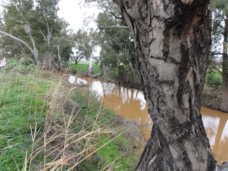 120 & 121 Camp Street, Gundagai NSW 2722