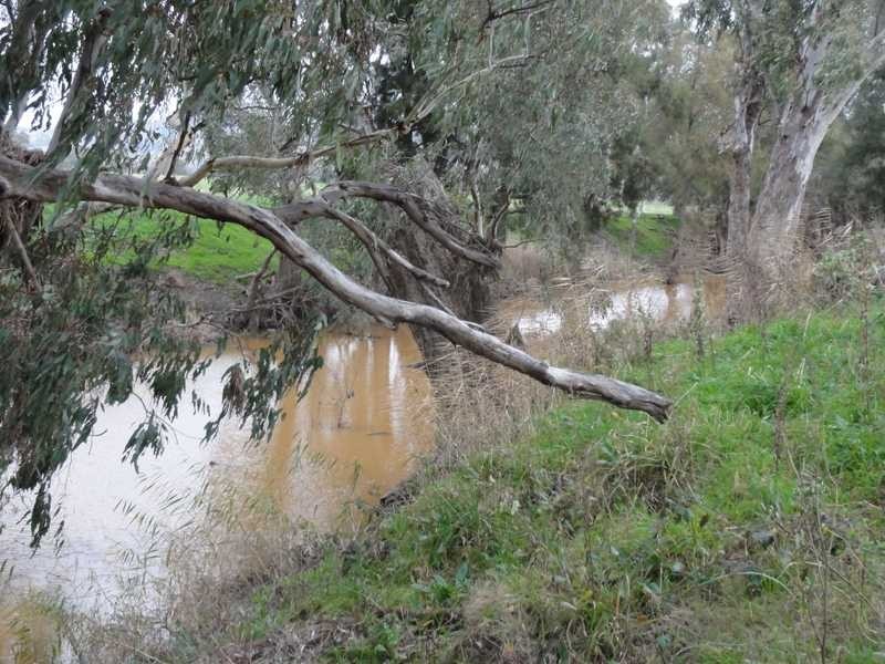 120 & 121 Camp Street, Gundagai NSW 2722