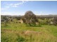 40 Punch Street, Gundagai NSW 2722