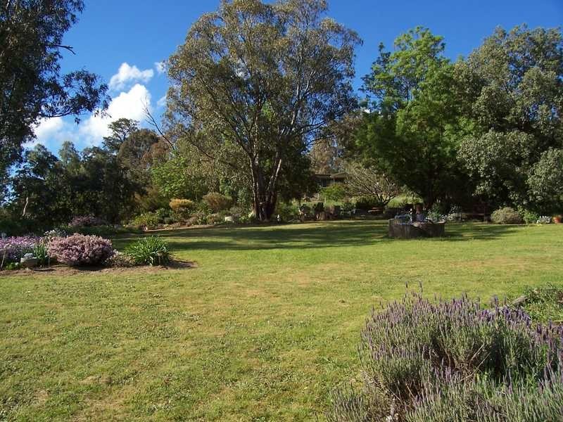 91 Punch Street, Gundagai NSW 2722