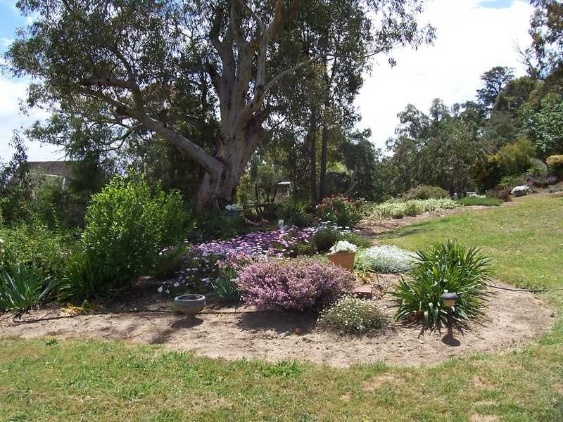 91 Punch Street, Gundagai NSW 2722