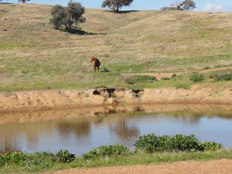 Lot/23 Nangus Road, Gundagai NSW 2722