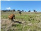 Lot/23 Nangus Road, Gundagai NSW 2722