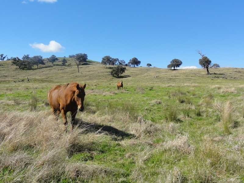 Lot/23 Nangus Road, Gundagai NSW 2722