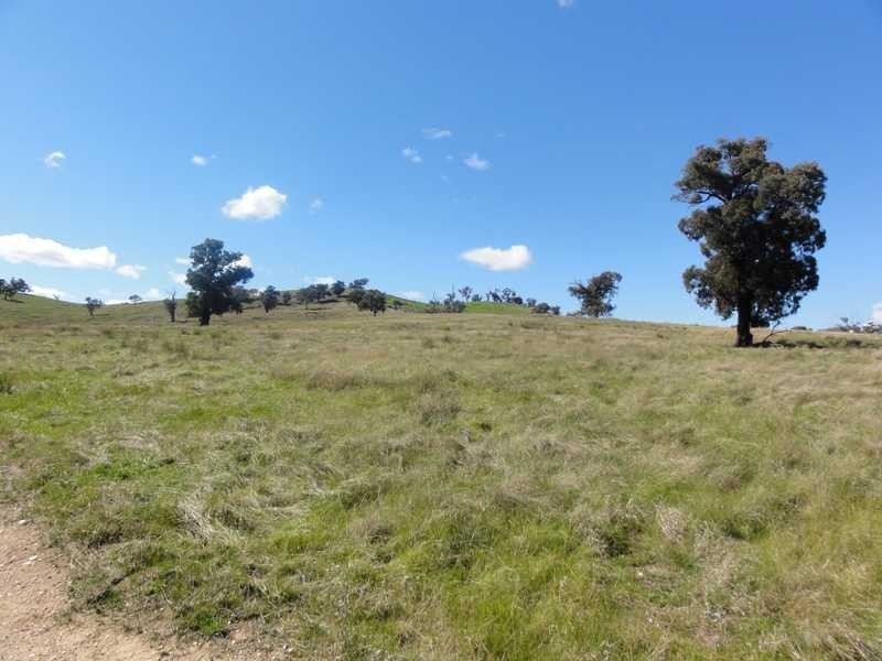 Lot/23 Nangus Road, Gundagai NSW 2722