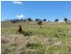 Lot/23 Nangus Road, Gundagai NSW 2722
