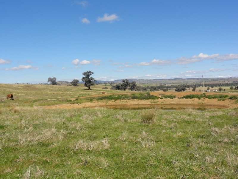 Lot/23 Nangus Road, Gundagai NSW 2722