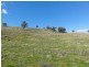 Lot/23 Nangus Road, Gundagai NSW 2722