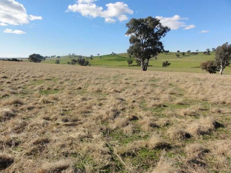Old Hall Site Burra Road, Gundagai NSW 2722