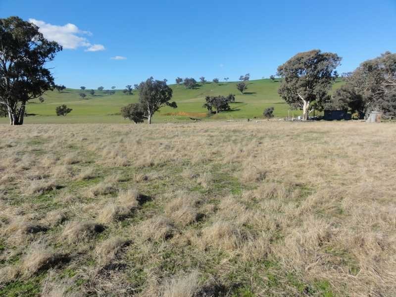 Old Hall Site Burra Road, Gundagai NSW 2722