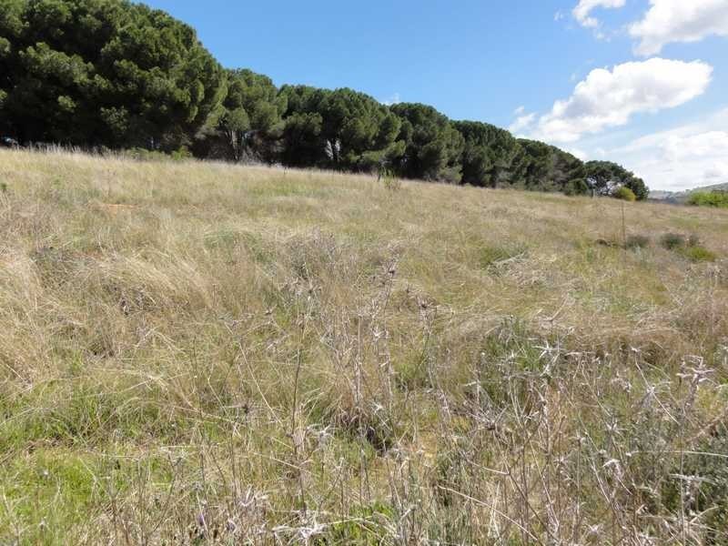 7 Gilmore Place, Gundagai NSW 2722