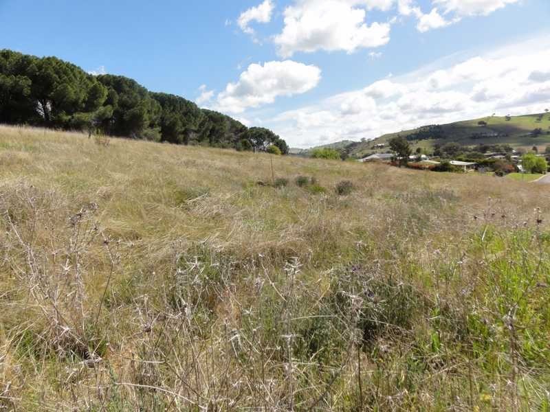 7 Gilmore Place, Gundagai NSW 2722