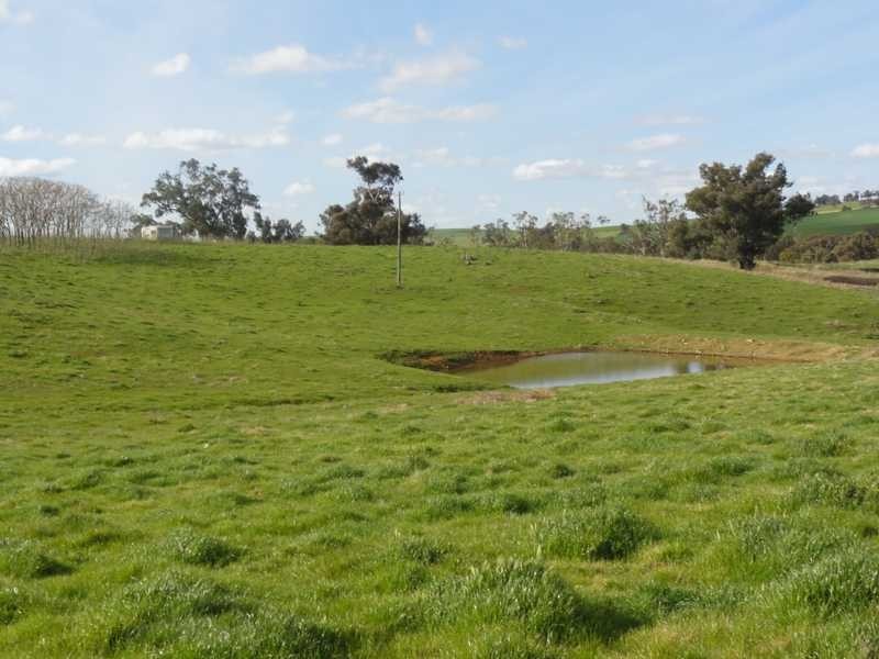 Lot/1 Old Burkleigh Estate Burra Road, Gundagai NSW 2722
