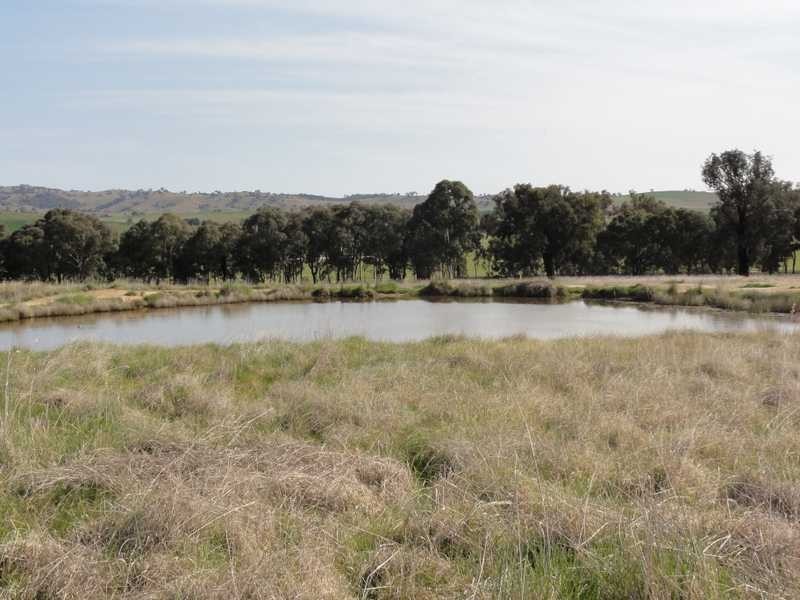 Lot 2/Mud Hut Mundarlo Road, Tumblong NSW 2729