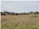 Lot 2/Mud Hut Mundarlo Road, Tumblong NSW 2729