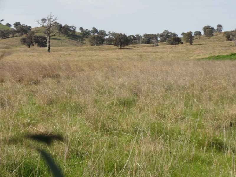 Lot 2/Mud Hut Mundarlo Road, Tumblong NSW 2729