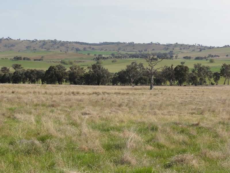Lot 2/Mud Hut Mundarlo Road, Tumblong NSW 2729