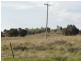 Lot 2/Mud Hut Mundarlo Road, Tumblong NSW 2729