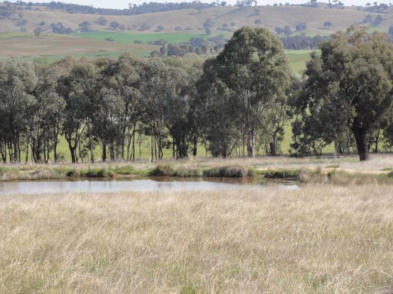 Lot 2/Mud Hut Mundarlo Road, Tumblong NSW 2729