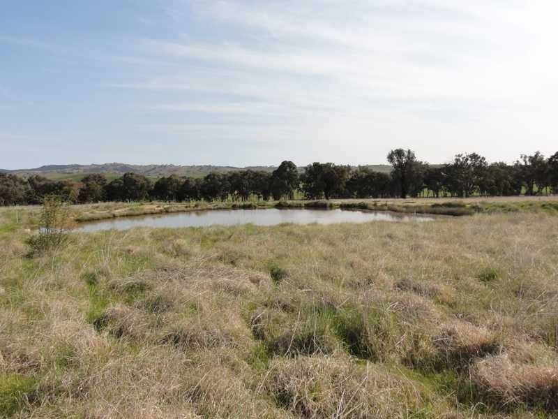 Lot 2/Mud Hut Mundarlo Road, Tumblong NSW 2729