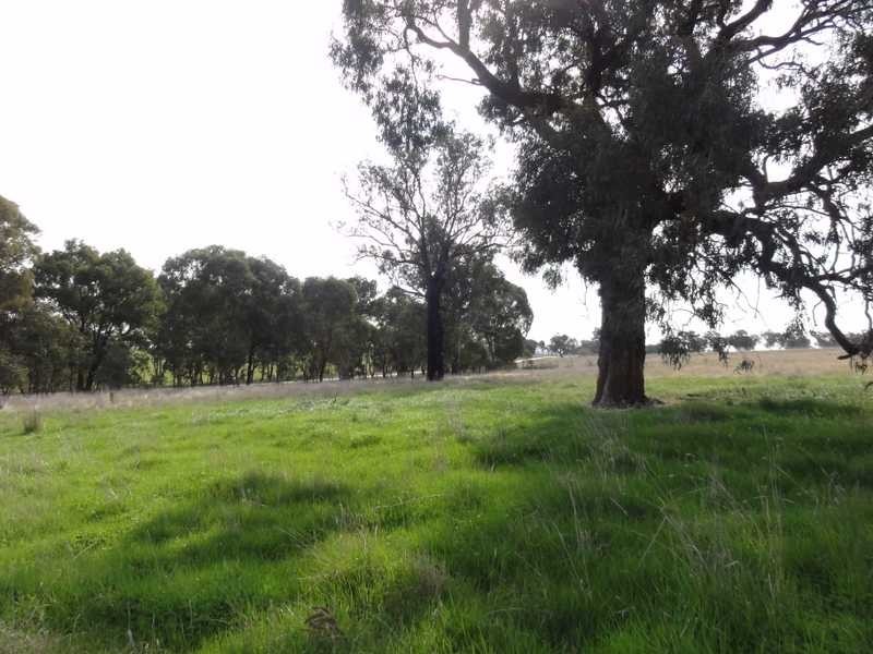 Lot 2/Mud Hut Mundarlo Road, Tumblong NSW 2729