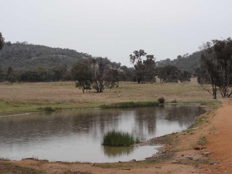 Beverley Hills Mahomets Lane, Bethungra NSW 2590