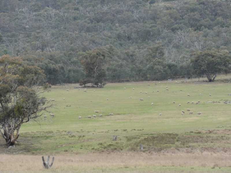 Beverley Hills Mahomets Lane, Bethungra NSW 2590