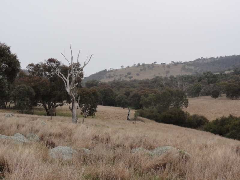 Beverley Hills Mahomets Lane, Bethungra NSW 2590