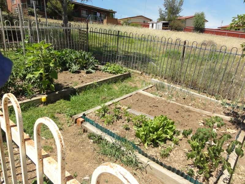 37 Tom Street, Gundagai NSW 2722