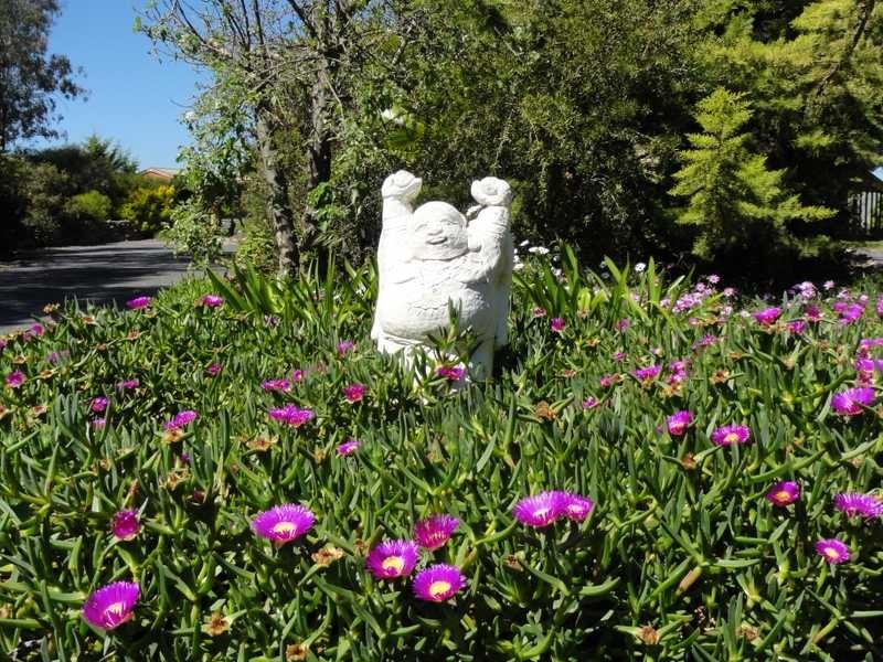 Harvest Park Spring Flat Drive, Gundagai NSW 2722