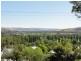 63 Punch Street, Gundagai NSW 2722