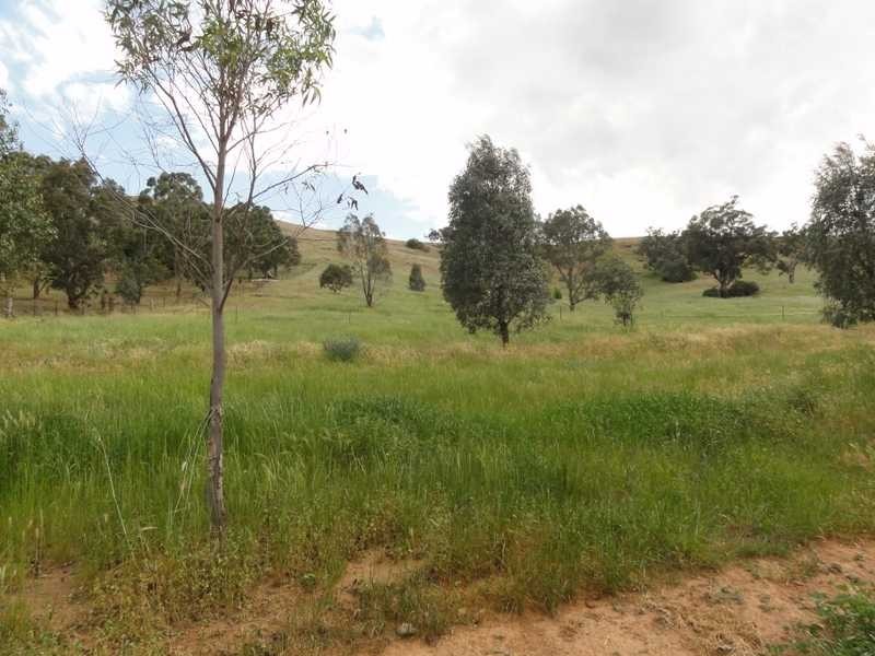 204 Punch Street, Gundagai NSW 2722