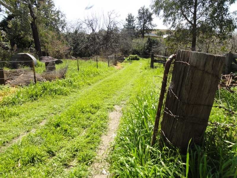 29 First Avenue, Gundagai NSW 2722