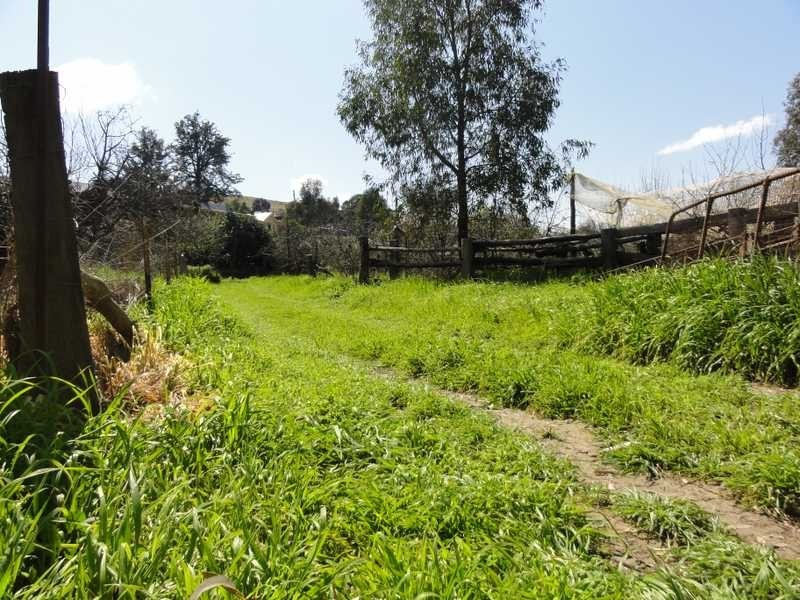 29 First Avenue, Gundagai NSW 2722