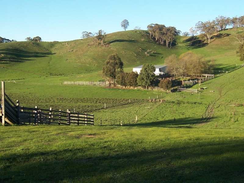 349 Scholz Road, Mount Adrah NSW 2729