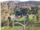 349 Scholz Road, Mount Adrah NSW 2729